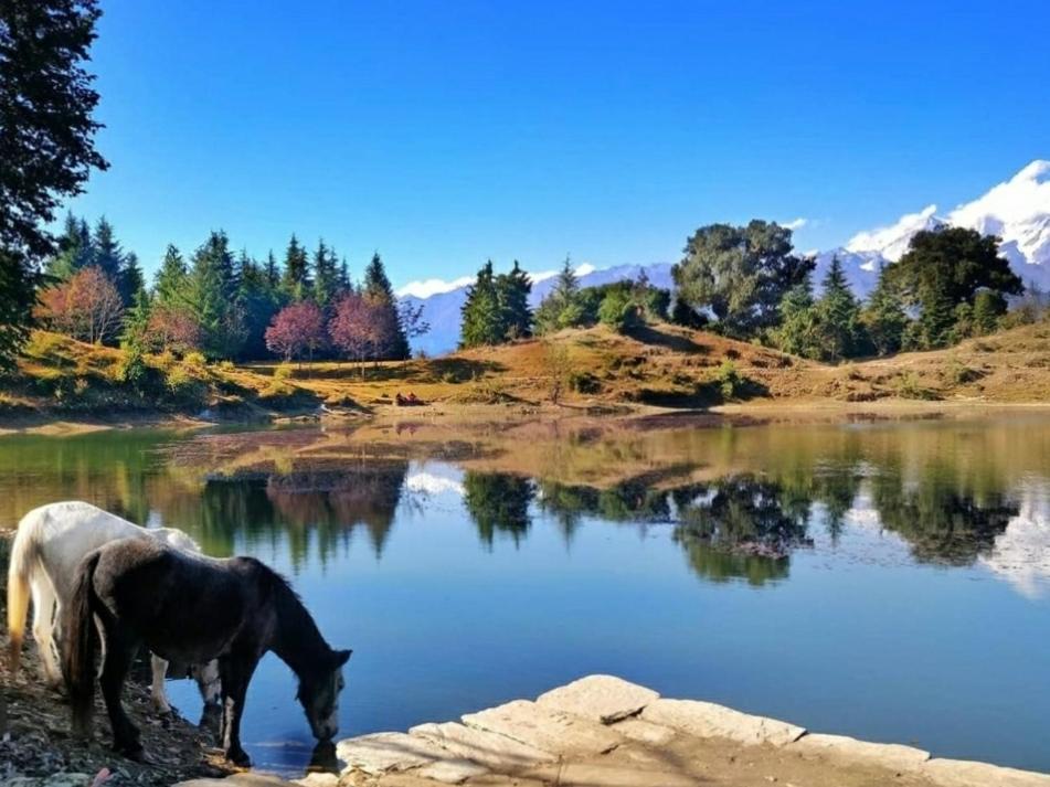 Moon Hotel Tungnath Ukhimath Εξωτερικό φωτογραφία